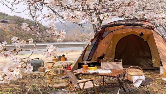 Camping Light Trends in South Korea: Popular Gear & Lantern Picks 2025